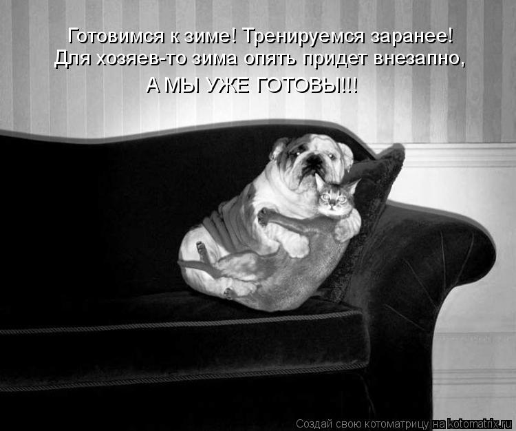 Котоматрица: Готовимся к зиме! Тренируемся заранее! Для хозяев-то зима опять придет внезапно,  А МЫ УЖЕ ГОТОВЫ!!!