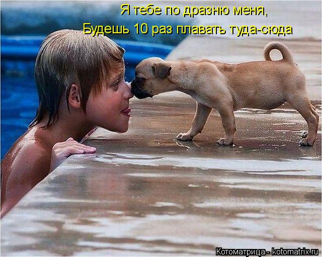 Я тебе по дразню меня, Будешь 10 раз плавать туда-сюда... Котоматрица: Я тебе по дразню меня, Будешь 10 раз плавать туда-сюда