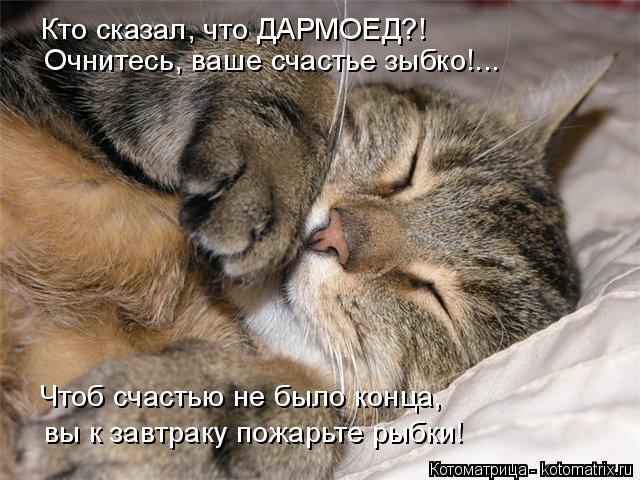 Кто сказал, что ДАРМОЕД?! Очнитесь, ваше счастье зыбко!... Чтоб счастью не было конца, вы к завтраку ... Котоматрица: Кто сказал, что ДАРМОЕД?! Очнитесь, ваше счастье зыбко!... Чтоб счастью не было конца, вы к завтраку пожарьте рыбки!