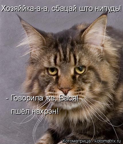 Хозяййка-а-а, сбацай што нипудь! - Говорила же, Вася! пшёл нахрэн!... Котоматрица: Хозяййка-а-а, сбацай што нипудь! - Говорила же, Вася! пшёл нахрэн!
