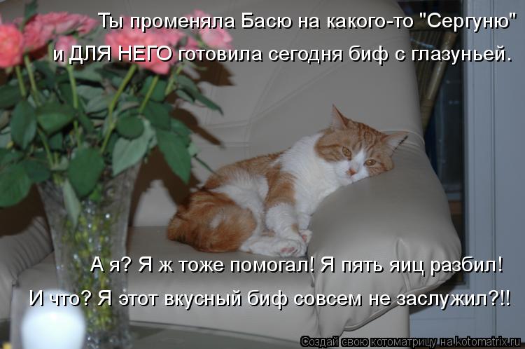 Котоматрица: Ты променяла Басю на какого-то "Сергуню" и ДЛЯ НЕГО готовила сегодня биф с глазуньей. А я? Я ж тоже помогал! Я пять яиц разбил! И что? Я этот вку