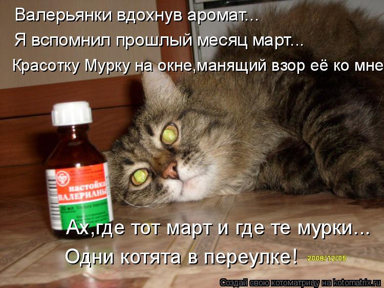 Валерьянки вдохнув аромат... Я вспомнил прошлый месяц март... Красотку Мурку на окне,манящий взор её ... Котоматрица: Валерьянки вдохнув аромат... Я вспомнил прошлый месяц март... Красотку Мурку на окне,манящий взор её ко мне. Ах,где тот март и где те мурки... Од