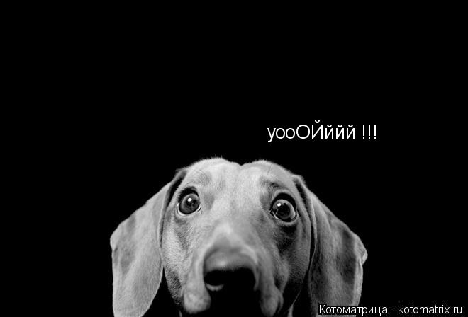 Котоматрица: уооОЙййй !!!
