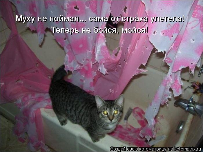 Муху не поймал... сама от страха улетела! Теперь не бойся, мойся!... Котоматрица: Муху не поймал... сама от страха улетела! Теперь не бойся, мойся!
