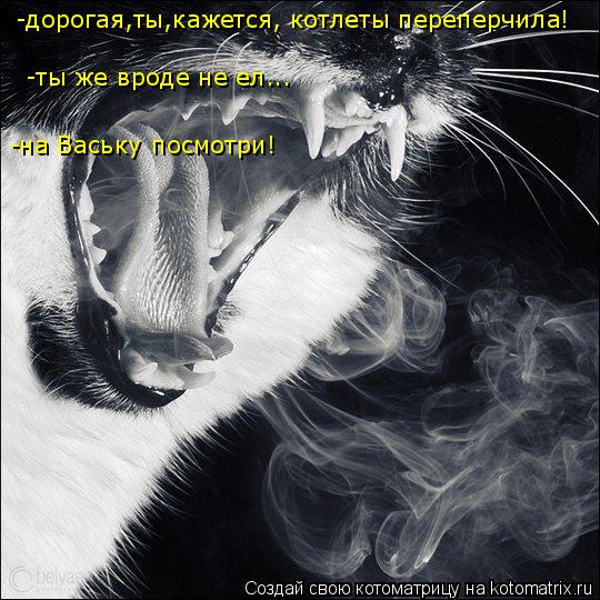 -дорогая,ты,кажется, котлеты переперчила! -ты же вроде не ел... -на Ваську посмотри!... Котоматрица: -дорогая,ты,кажется, котлеты переперчила! -ты же вроде не ел... -на Ваську посмотри!