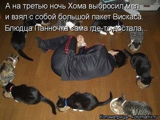 А на третью ночь Хома выбросил мел и взял с собой большой пакет Вискаса. Блюдца Панночка сама где-то ... Котоматрица: А на третью ночь Хома выбросил мел и взял с собой большой пакет Вискаса. Блюдца Панночка сама где-то достала...