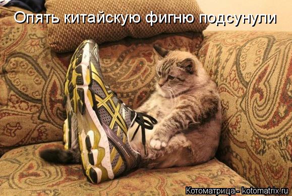 Котоматрица: Опять китайскую фигню подсунули