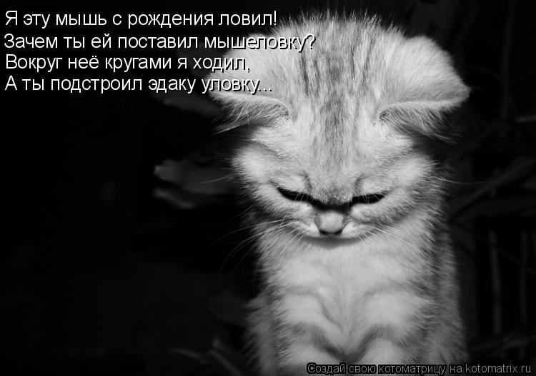 Котоматрица: Я эту мышь с рождения ловил! Зачем ты ей поставил мышеловку? Вокруг неё кругами я ходил, А ты подстроил эдаку уловку...