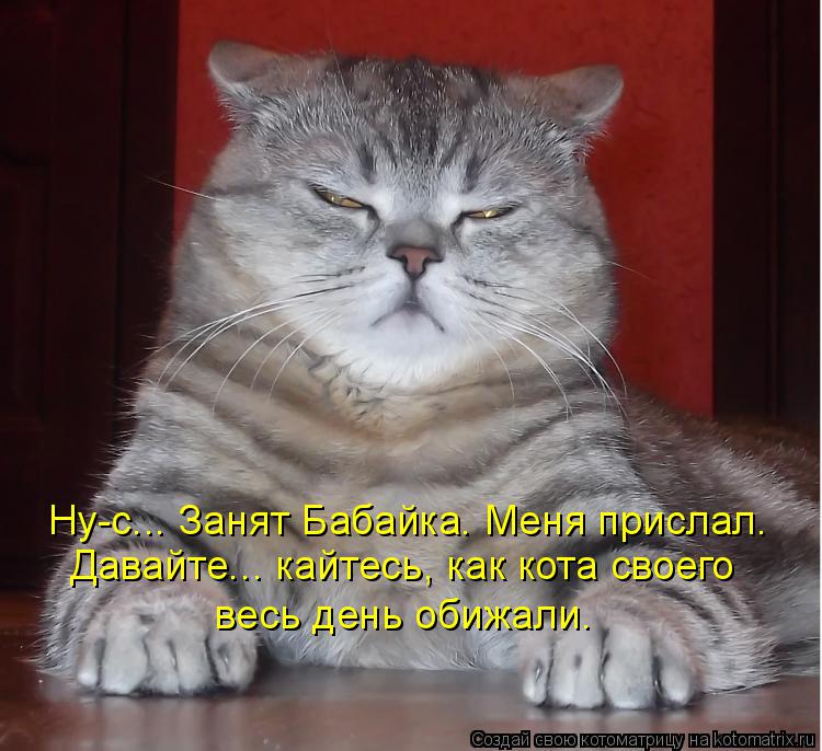 Котоматрица: Ну-с... Занят Бабайка. Меня прислал. Давайте... кайтесь, как кота своего  весь день обижали.