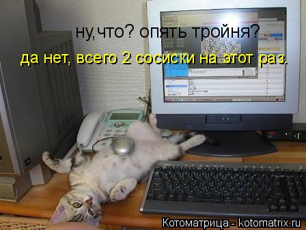 ну,что? опять тройня? да нет, всего 2 сосиски на этот раз.... Котоматрица: ну,что? опять тройня? да нет, всего 2 сосиски на этот раз.