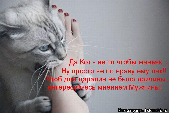 Да Кот - не то чтобы маньяк... Ну просто не по нраву ему лак!! Чтоб для царапин не было причины, инте... Котоматрица: Да Кот - не то чтобы маньяк... Ну просто не по нраву ему лак!! Чтоб для царапин не было причины, интересуйтесь мнением Мужчины!