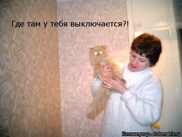 Котоматрица: Где там у тебя выключается?!