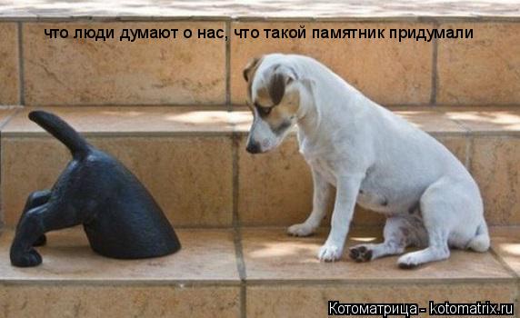 Котоматрица: что люди думают о нас, что такой памятник придумали