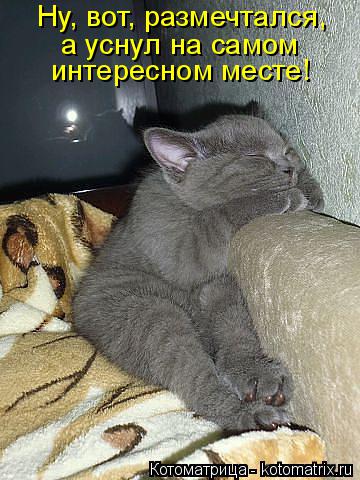 Котоматрица: Ну, вот, размечтался, а уснул на самом интересном месте!