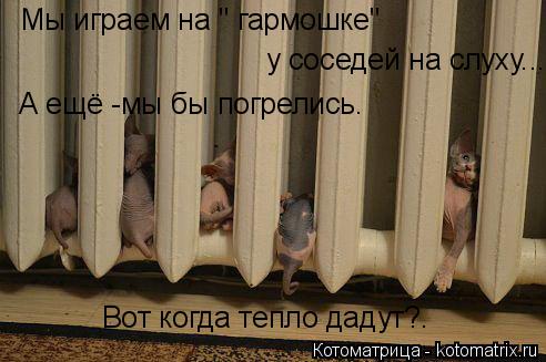 Котоматрица: Мы играем на " гармошке"   у соседей на слуху...  А ещё -мы бы погрелись.  Вот когда тепло дадут?.