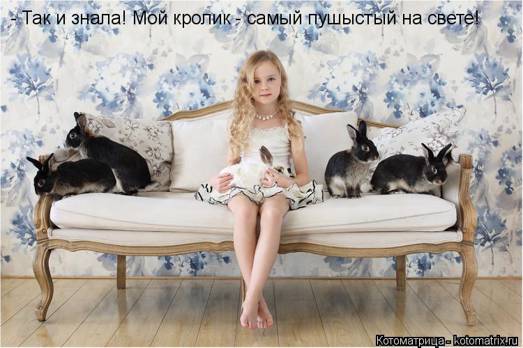 Котоматрица: - Так и знала! Мой кролик - самый пушыстый на свете!