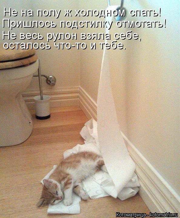 Котоматрица: Не на полу ж холодном спать! Пришлось подстилку отмотать! Не весь рулон взяла себе, осталось что-то и тебе.