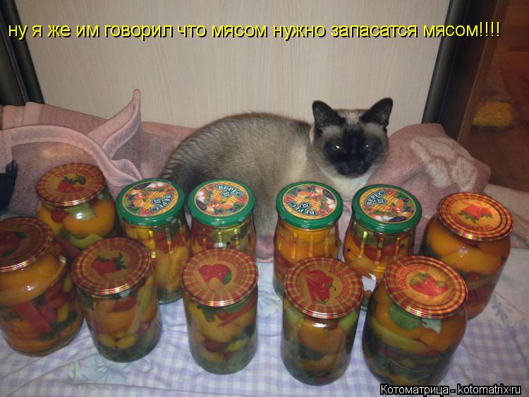 Котоматрица: ну я же им говорил что мясом нужно запасатся мясом!!!!