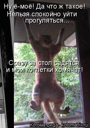 Котоматрица: Ну ё-моё! Да что ж такое! Нельзя спокойно уйти прогуляться... Сразу за стол садятся и мои котлетки хомячат!