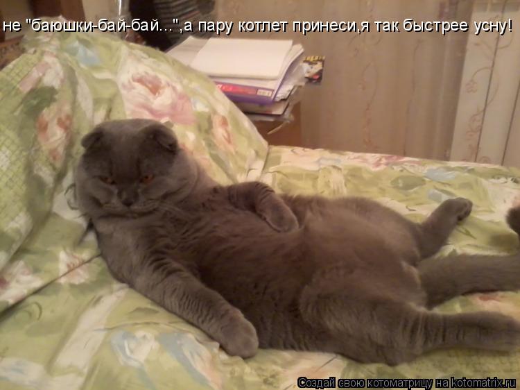 Котоматрица: не "баюшки-бай-бай...",а пару котлет принеси,я так быстрее усну!