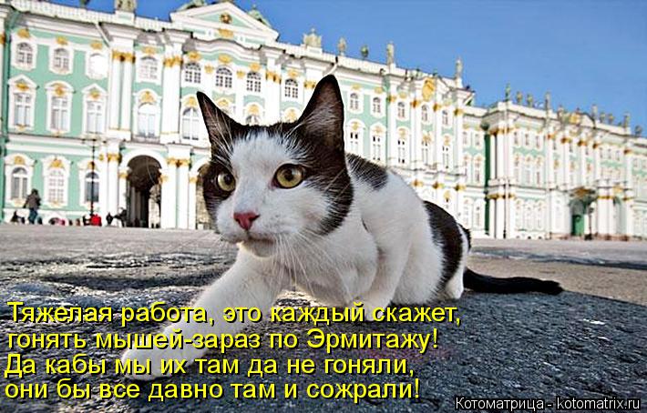 Тяжелая работа, это каждый скажет, гонять мышей-зараз по Эрмитажу! Да кабы мы их там да не гоняли, он... Котоматрица: Тяжелая работа, это каждый скажет, гонять мышей-зараз по Эрмитажу! Да кабы мы их там да не гоняли, они бы все давно там и сожрали!