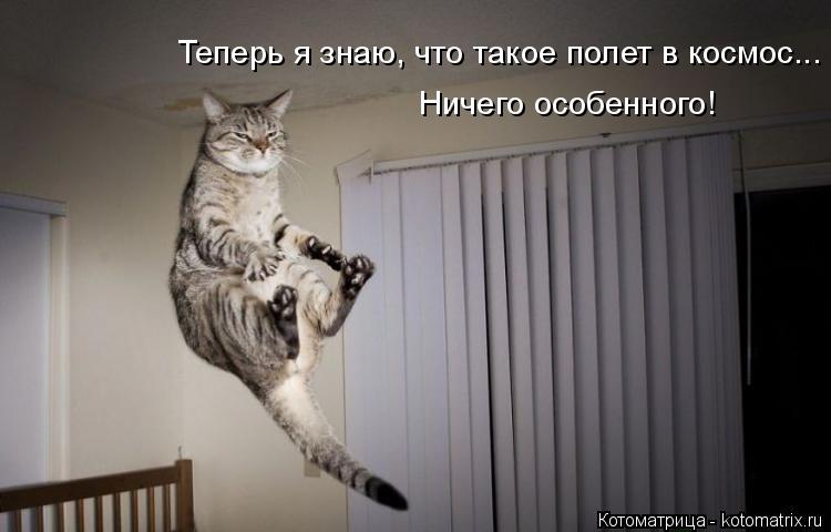 Котоматрица: Теперь я знаю, что такое полет в космос... Ничего особенного!