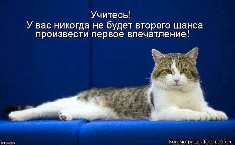 Котоматрица: Учитесь! У вас никогда не будет второго шанса произвести первое впечатление!