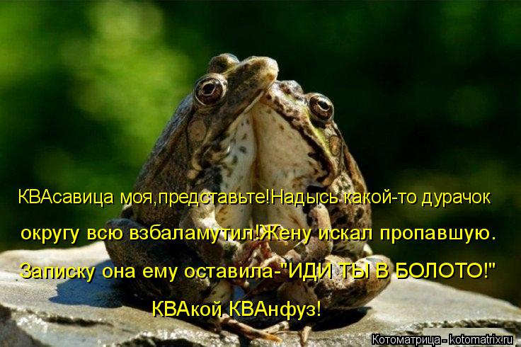Котоматрица: КВАсавица моя,представьте!Надысь какой-то дурачок округу всю взбаламутил!Жену искал пропавшую. Записку она ему оставила-"ИДИ ТЫ В БОЛОТО!" К