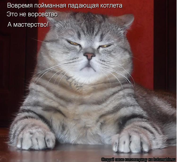 Котоматрица: Вовремя пойманная падающая котлета  Это не воровство А мастерство!