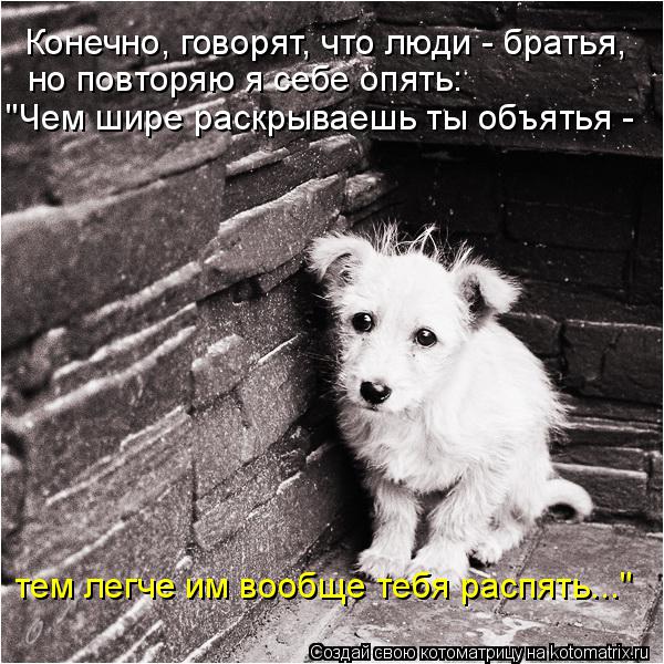 Котоматрица: Конечно, говорят, что люди - братья,  но повторяю я себе опять: "Чем шире раскрываешь ты объятья -  тем легче им вообще тебя распять..."