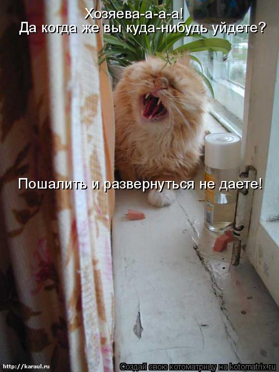 Пошалить и развернуться не даете! Хозяева-а-а-а! Да когда же вы куда-нибудь уйдете?... Котоматрица: Пошалить и развернуться не даете! Хозяева-а-а-а! Да когда же вы куда-нибудь уйдете?