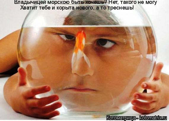 Владычицей морскою быть хочешь? Нет, такого не могу Хватит тебе и корыта нового, а то треснешь!... Котоматрица: Владычицей морскою быть хочешь? Нет, такого не могу Хватит тебе и корыта нового, а то треснешь!