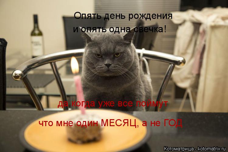 Котоматрица: Опять день рождения и опять одна свечка! да когда уже все поймут что мне один МЕСЯЦ, а не ГОД
