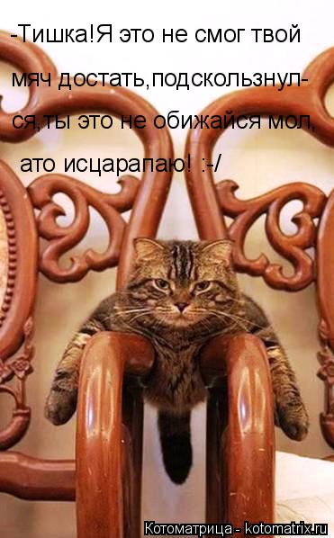 Котоматрица: ато исцарапаю! :-/ -Тишка!Я это не смог твой мяч достать,подскользнул- ся,ты это не обижайся мол,