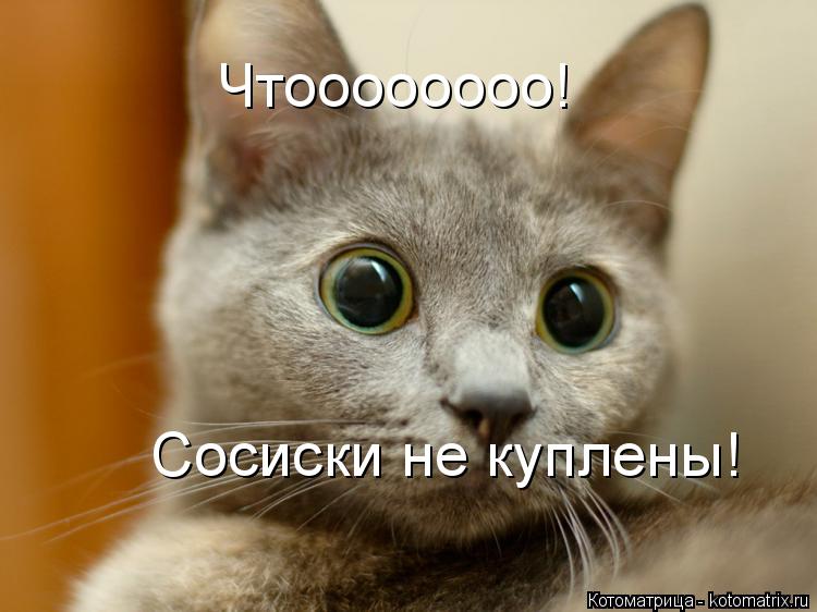 Котоматрица: Чтоооооооо! Сосиски не куплены!