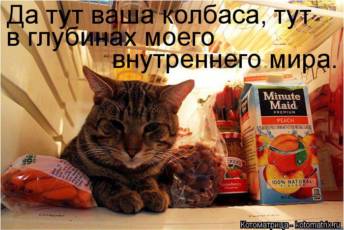 Котоматрица: Да тут ваша колбаса, тут в глубинах моего  внутреннего мира.