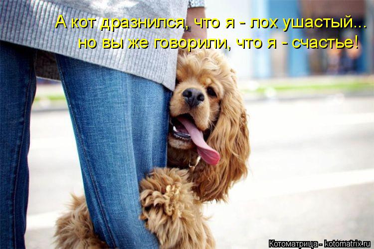 Котоматрица: А кот дразнился, что я - лох ушастый... но вы же говорили, что я - счастье!
