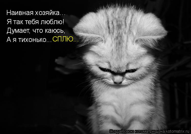 Наивная хозяйка… Я так тебя люблю! Думает, что каюсь, А я тихонько... СПЛЮ...... Котоматрица: Наивная хозяйка… Я так тебя люблю! Думает, что каюсь, А я тихонько... СПЛЮ...