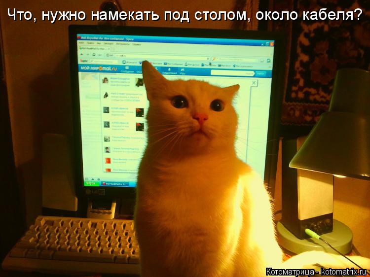 Котоматрица: Что, нужно намекать под столом, около кабеля?