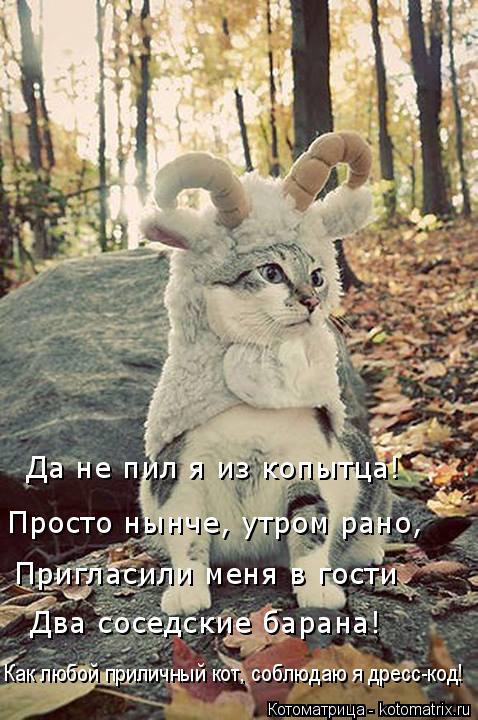 Да не пил я из копытца! Просто нынче, утром рано, Пригласили меня в гости Два соседские барана! Как л... Котоматрица: Да не пил я из копытца! Просто нынче, утром рано, Пригласили меня в гости Два соседские барана! Как любой приличный кот, соблюдаю я дресс-код!