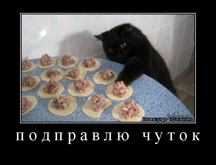 подправлю чуток ... Котоматрица: подправлю чуток