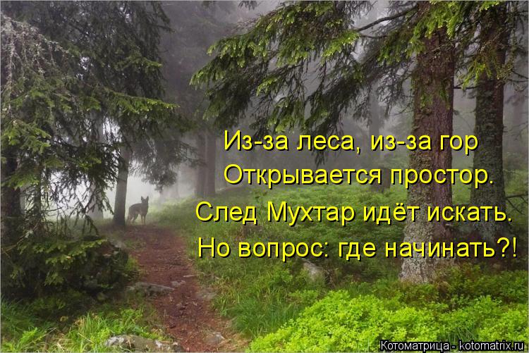 Котоматрица: Из-за леса, из-за гор Открывается простор. След Мухтар идёт искать. Но вопрос: где начинать?!
