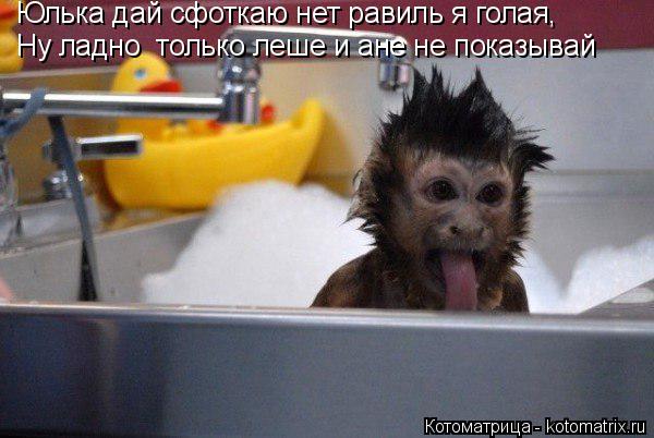 Юлька дай сфоткаю нет равиль я голая, Ну ладно только леше и ане не показывай... Котоматрица: Юлька дай сфоткаю нет равиль я голая, Ну ладно только леше и ане не показывай