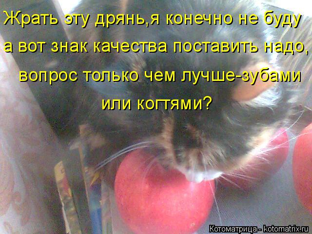 Котоматрица: Жрать эту дрянь,я конечно не буду а вот знак качества поставить надо,  вопрос только чем лучше-зубами  или когтями?