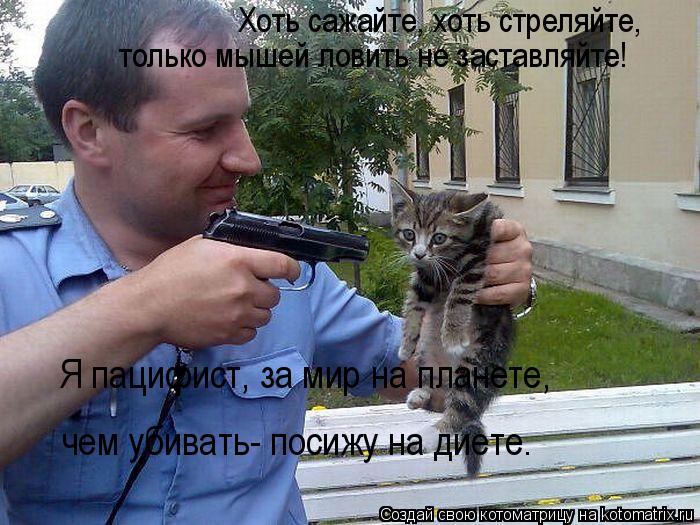 Котоматрица: Хоть сажайте, хоть стреляйте,  только мышей ловить не заставляйте! Я пацифист, за мир на планете,  чем убивать- посижу на диете.