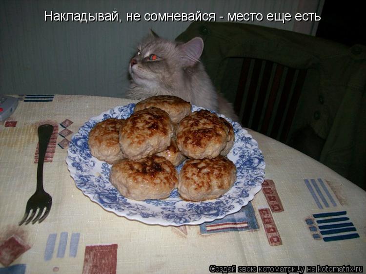 Накладывай, не сомневайся - место еще есть... Котоматрица: Накладывай, не сомневайся - место еще есть