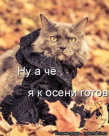 Котоматрица: Ну а чё ,  я к осени готов
