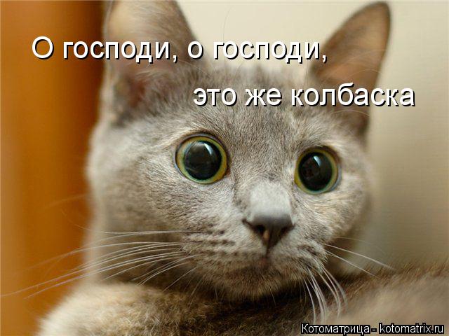 Котоматрица: О господи, о господи, это же колбаска