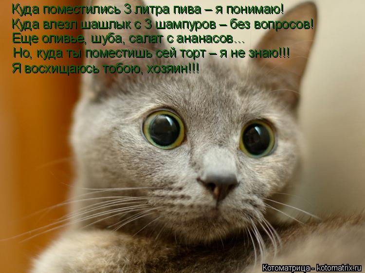 Котоматрица: Куда поместились 3 литра пива – я понимаю! Куда влезл шашлык с 3 шампуров – без вопросов! Еще оливье, шуба, салат с ананасов… Но, куда ты поме