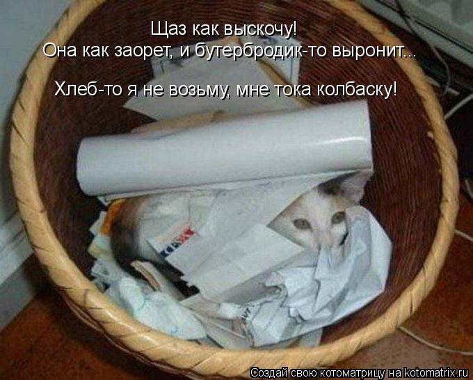 Котоматрица: Щаз как выскочу! Она как заорет, и бутербродик-то выронит... Хлеб-то я не возьму, мне тока колбаску!